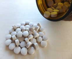 lactobacillus