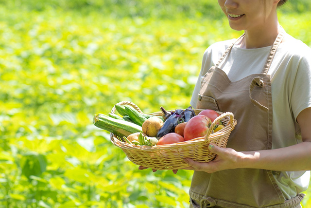 酵素を摂る時の注意点