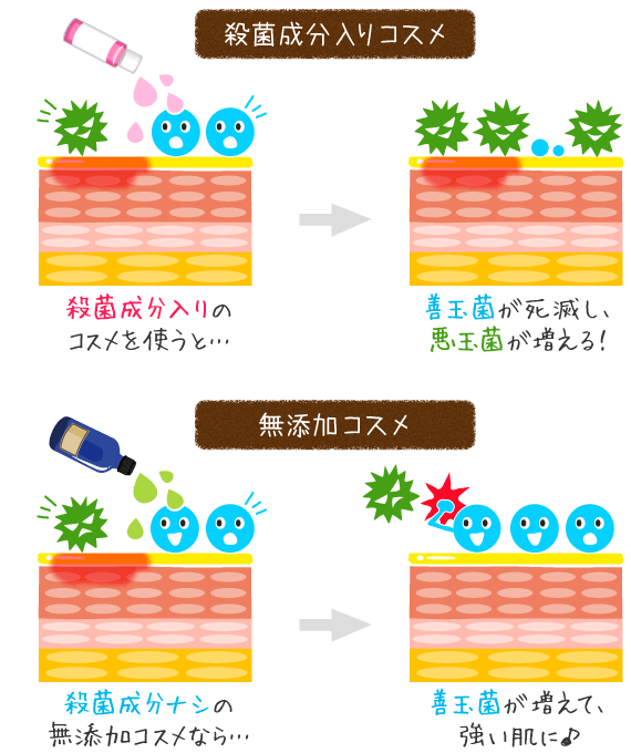 無添加化粧品で育菌を！