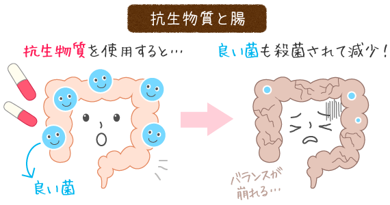 抗生物質と腸の関係