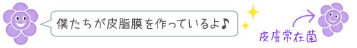 皮脂膜は、皮膚常在菌が作っています！