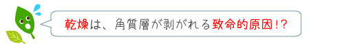 乾燥は角質層が剥がれる致命的原因！