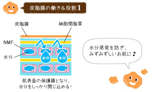 水分蒸発を防ぎ、みずみすしいお肌に！