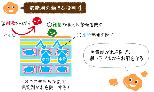 角質剥がれを防ぎ、あらゆる肌トラブルからお肌を守る！