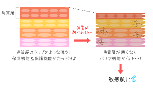 角質が剥がれた状態が敏感肌！