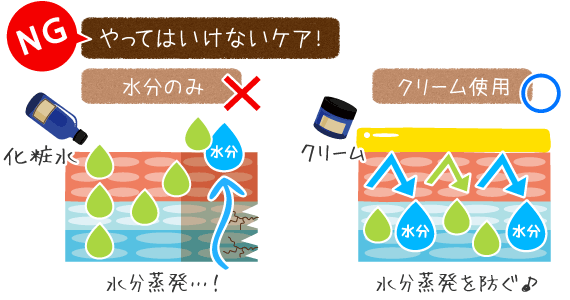 水分のみの乾燥肌対策はNGです！