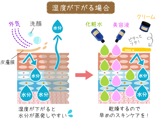 湿度が低い際のお肌の断面図