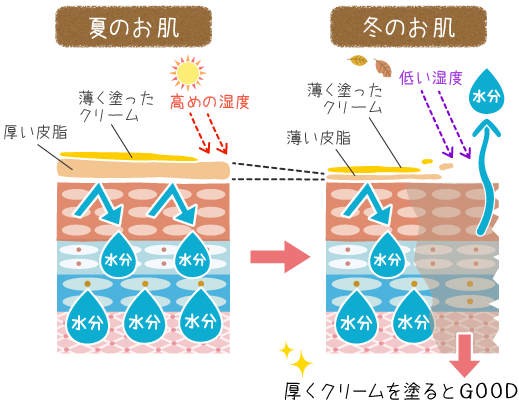 夏のお肌と冬のお肌