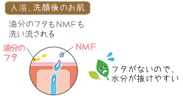 入浴、洗顔後のお肌