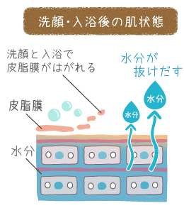 洗顔・入浴後の肌の状態