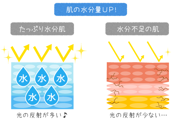 肌の水分量をアップしよう！