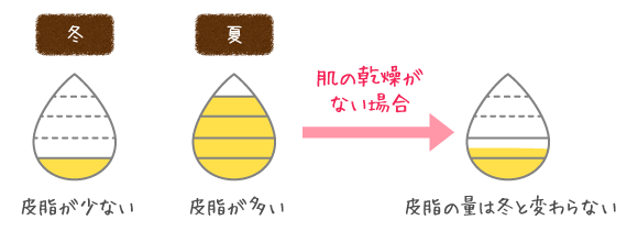 夏と冬の皮脂の量の比較