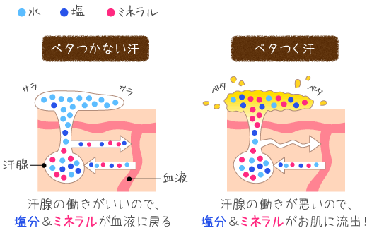 皮脂や汗でベタベタ 夏のベタつき顔の原因と対策 解消法 オーガニック化粧品のピュアノーブル