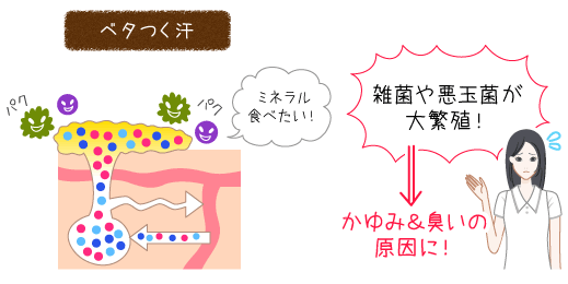 皮脂や汗でベタベタ 夏のベタつき顔の原因と対策 解消法 オーガニック化粧品のピュアノーブル