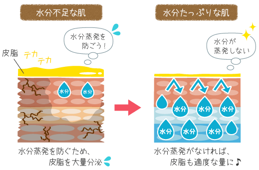 水分不足の肌と水分たっぷりな肌