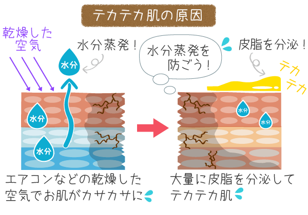 乾燥と皮脂の関係