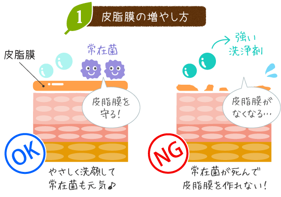 皮脂膜の増やし方