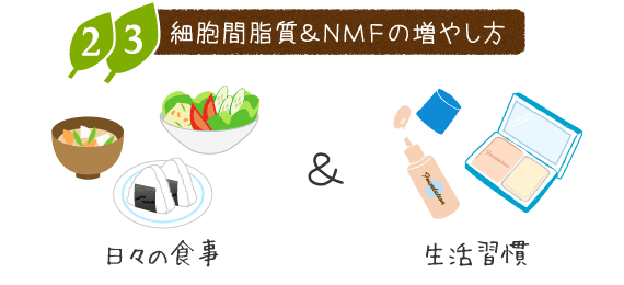 細胞間脂質＆ＮＭＦの増やし方