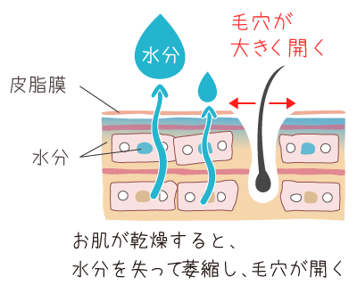 乾燥で開いた毛穴