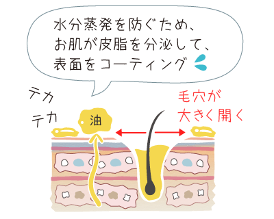 皮脂の過剰分泌で、さらに開いた毛穴