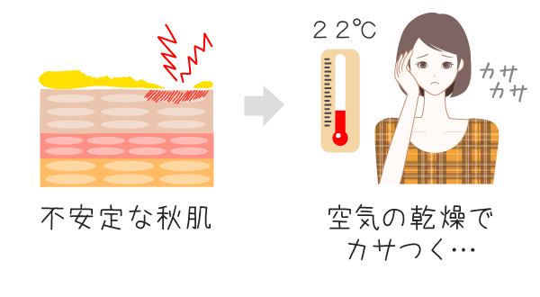 不安定な秋肌に、乾燥した空気が！