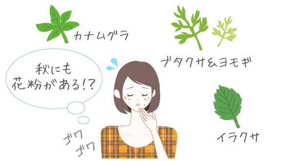 秋にも花粉は多い！