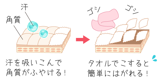 汗でふやけた角質は、タオルでこすると剥がれてしまう！