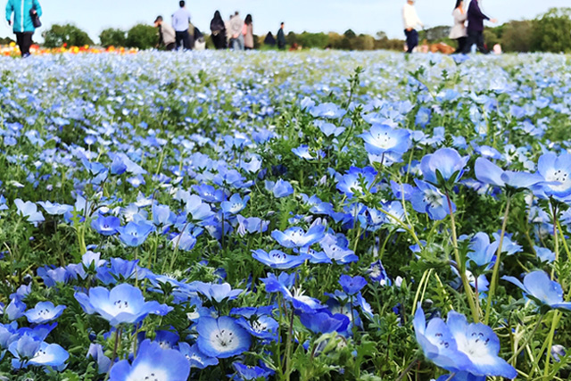 ３月４月５月にありがち！春の乾燥肌のスキンケアについて