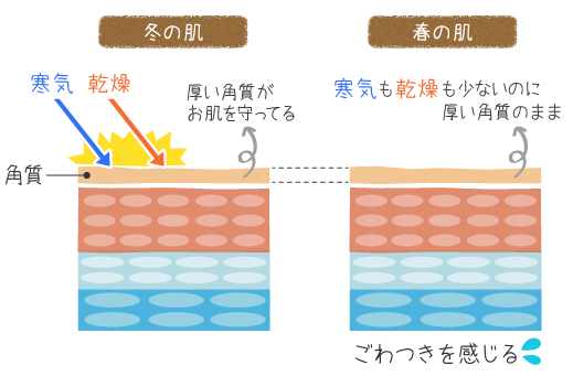 春先にごわつきを感じる理由