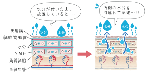 お肌からの水分蒸発のイメージ