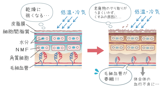 低温・冷気のお肌への影響