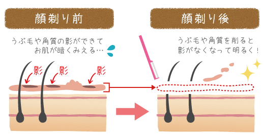 うぶ毛の黒さや影が消える