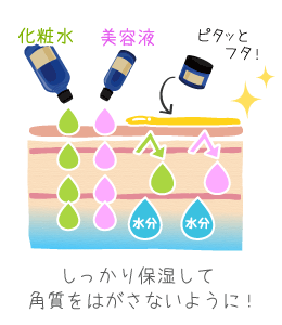 スキンケアの基本は、保湿して角質を剥がさないようにする事