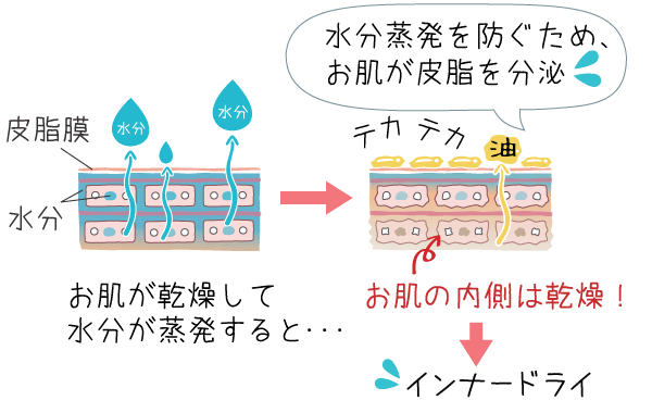 インナードライと脂性肌の関係