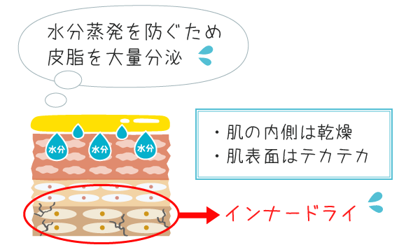 水分蒸発を防ぐために、過剰に皮脂を分泌