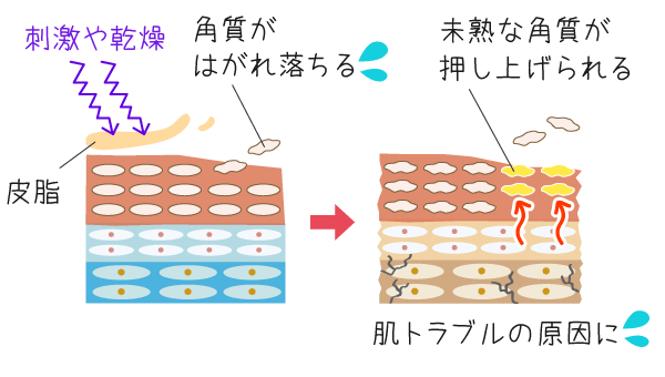 肌のキメを整えるスキンケアの基本！肌のキメが粗い原因の図解