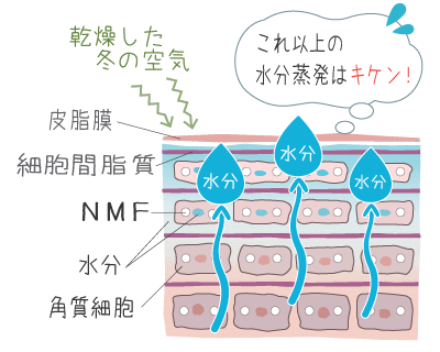 乾燥でお肌がアラート状態