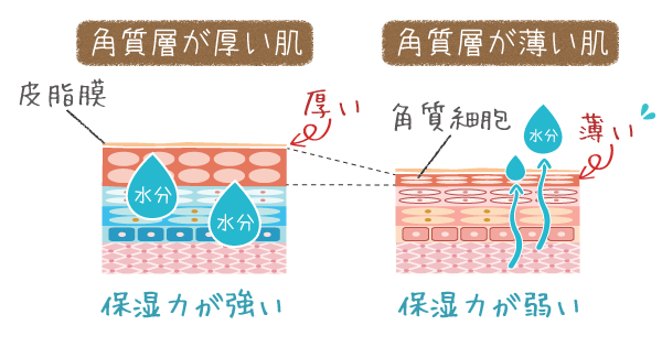 肌トラブルの本当の原因