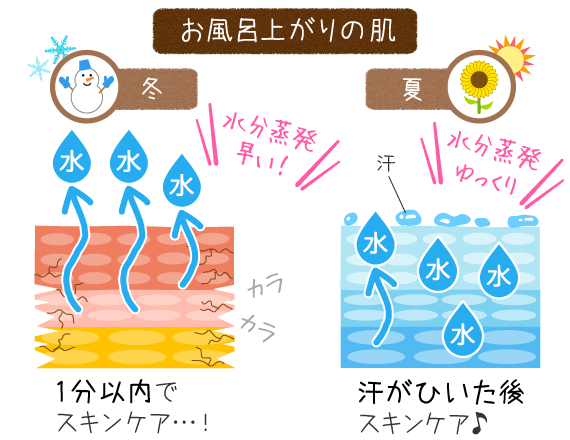 夏と冬のお風呂上がりの肌