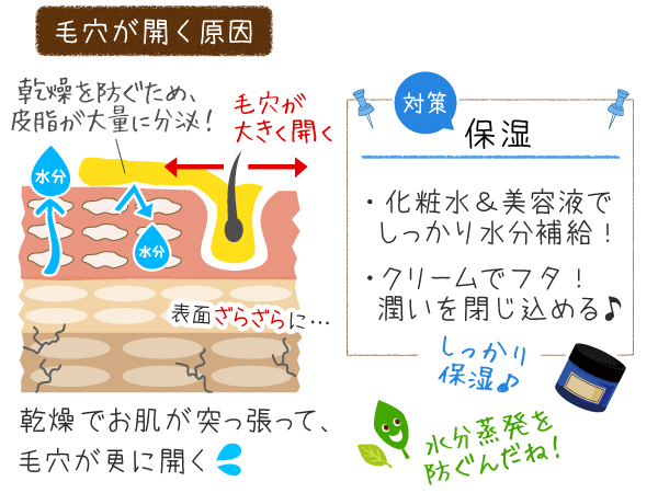 毛穴の開きの原因と対策