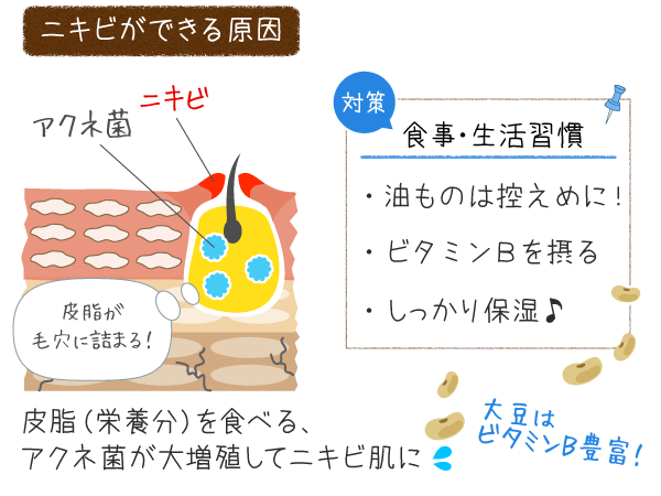 ニキビやブツブツについて