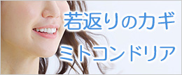 オートファジーとミトコンドリアで若返り！美肌効果は本当？嘘？