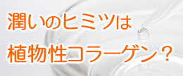 潤いのヒミツは植物性コラーゲン？