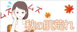 秋の肌荒れの原因は？ブツブツやニキビ急なアレルギーの対策