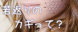 オートファジーとミトコンドリアで若返り！美肌効果は本当？嘘？