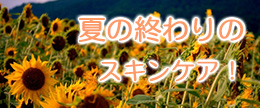 夏の肌ダメージケアはもうＯＫ？夏の終わりから秋のスキンケア