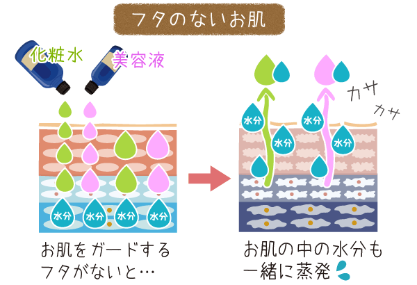 油膜のフタのないお肌