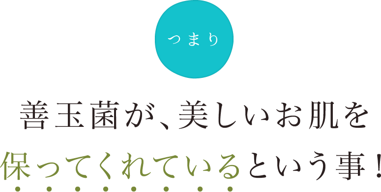 つまり、善玉菌が、美しいお肌を保ってくれているという事！