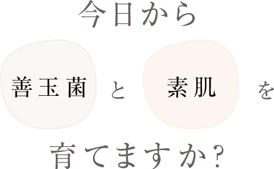 今日から、善玉菌素肌をと育てますか？