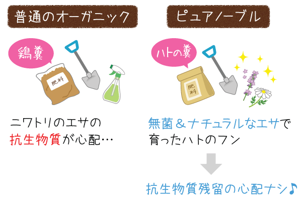 普通のオーガニックとピュアノーブルの比較